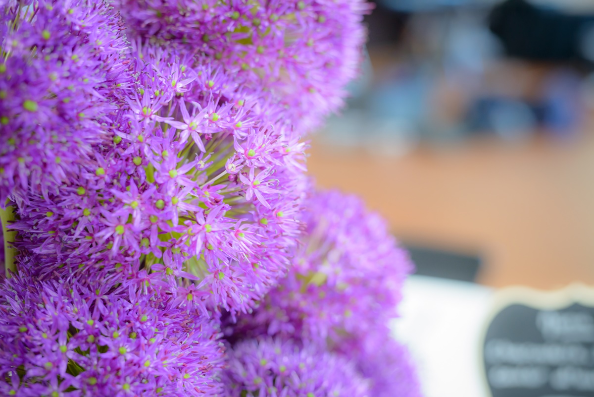 photographe Mariage Préparatifs